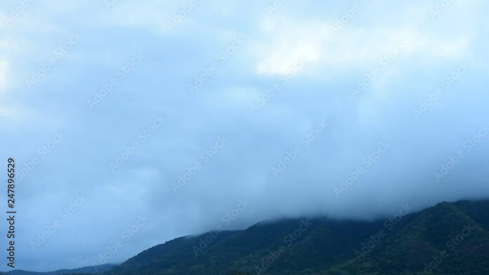 Slow flowing beautiful natural fog on forest mountain in winter