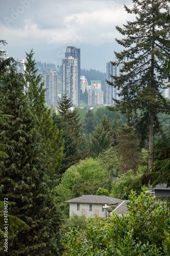 A perfect neighborhood. View on downtown cityscape from suburan area photo