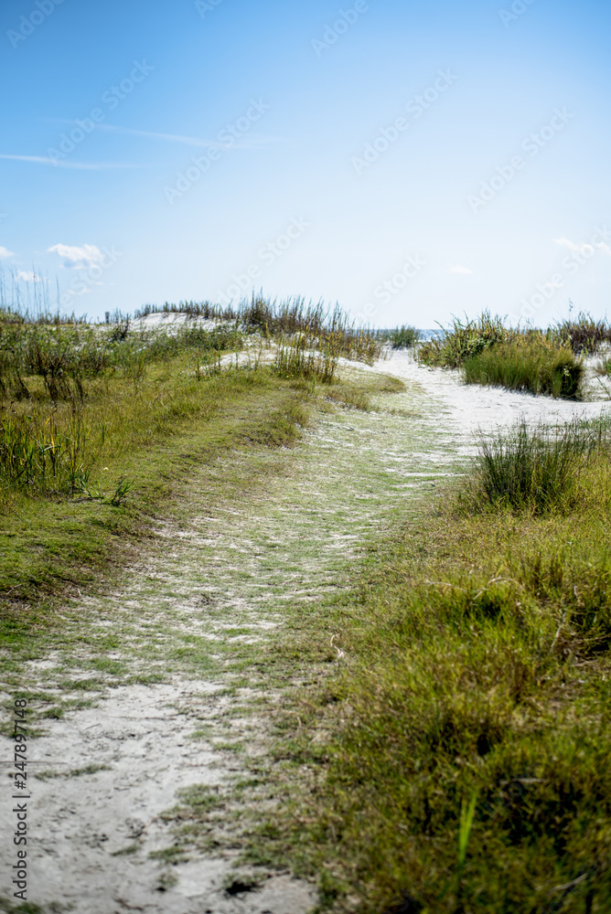 South Carolina beach dunes and landscape South Carolina beach dunes and landscape