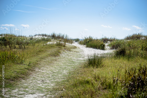South Carolina beach dunes and landscape photo