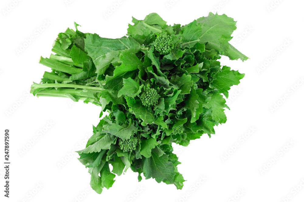 Fototapeta premium close up on a bunch of green leaf vegetable