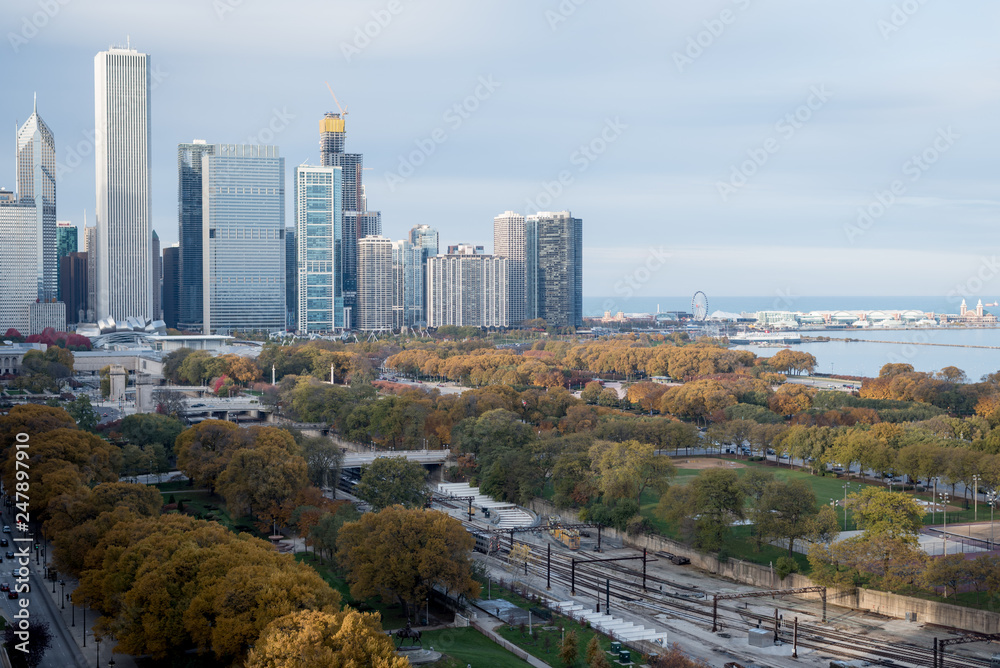 Obraz premium Chicago autumn fall foliage