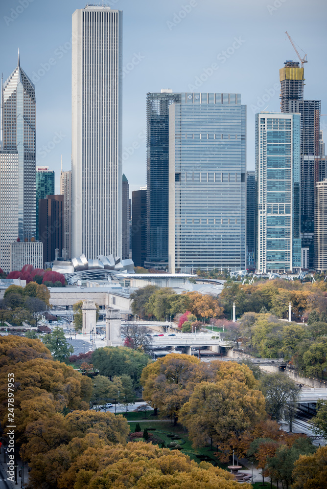 Fototapeta premium Chicago autumn fall foliage 