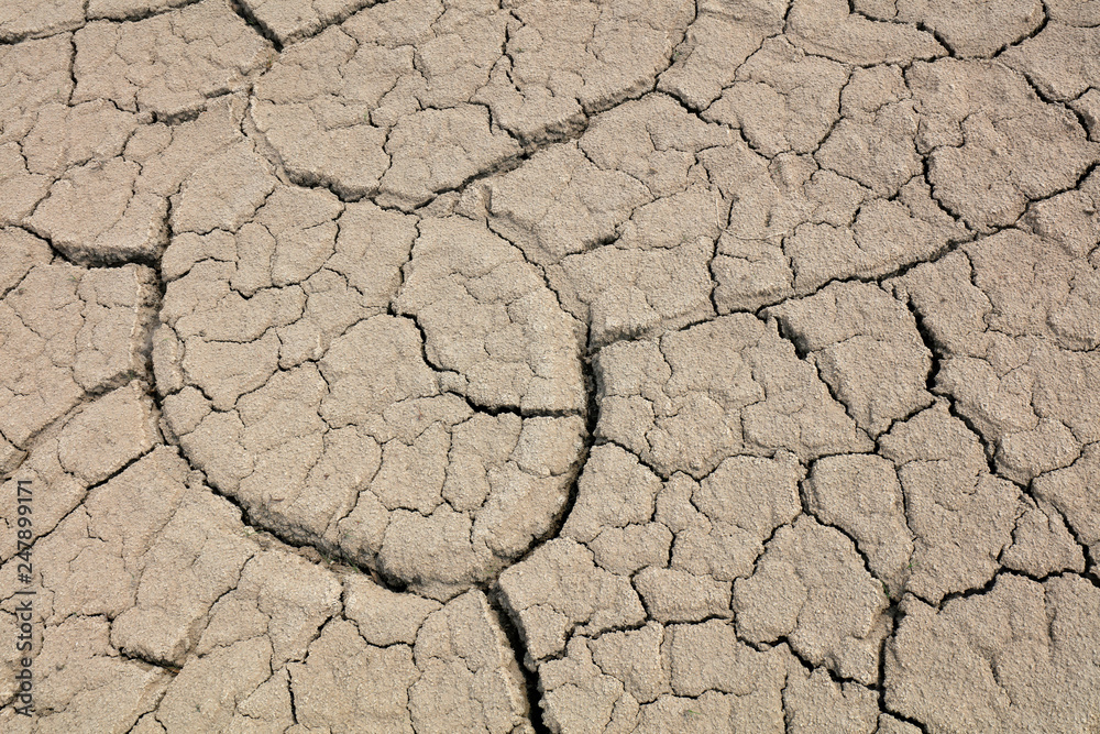 Fototapeta premium Arid cracked land