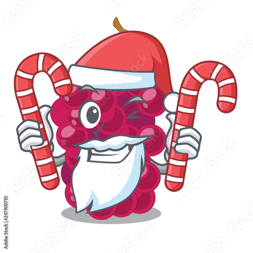 Santa with candy mulbery fruit isolated with the cartoons