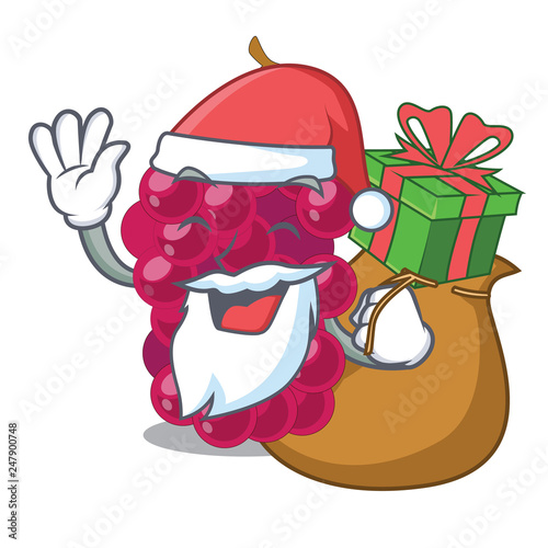 Santa with gift mulbery fruit isolated with the cartoons