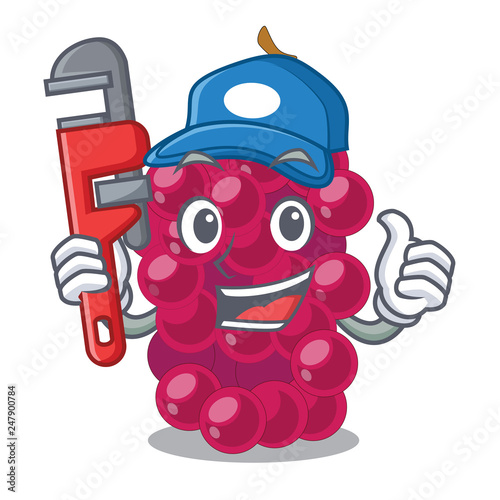 Plumber mulbery fruit isolated with the cartoons