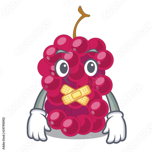 Silent mulbery fruit isolated with the cartoons