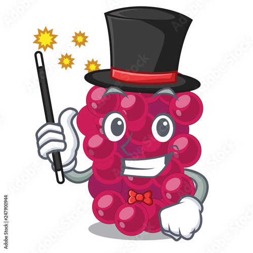 Magician mulbery fruit isolated with the cartoons