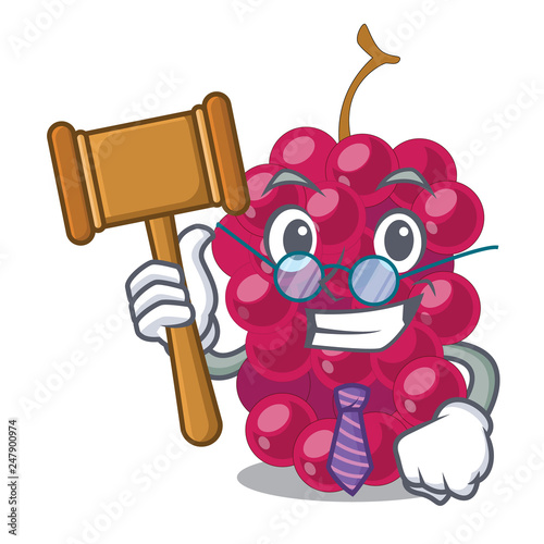 Judge mulbery fruit isolated with the cartoons