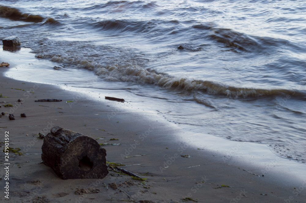 Log on beach Log on beach