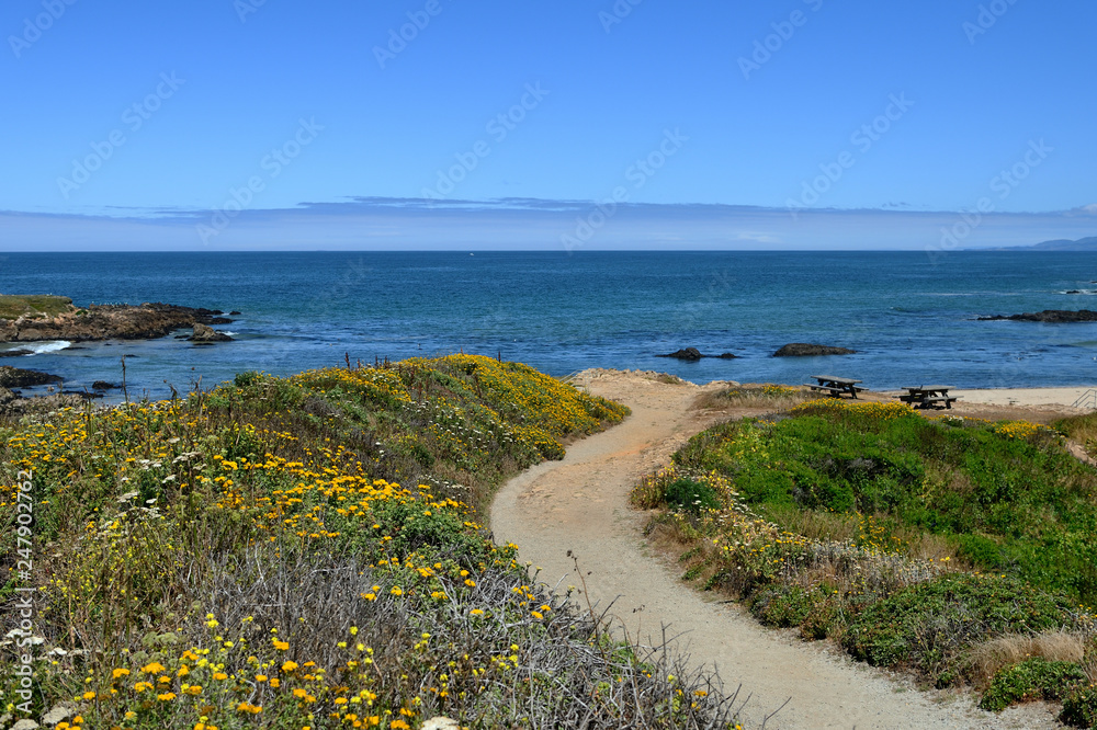 Beautiful seascape along the Pacific Coast, California, USA