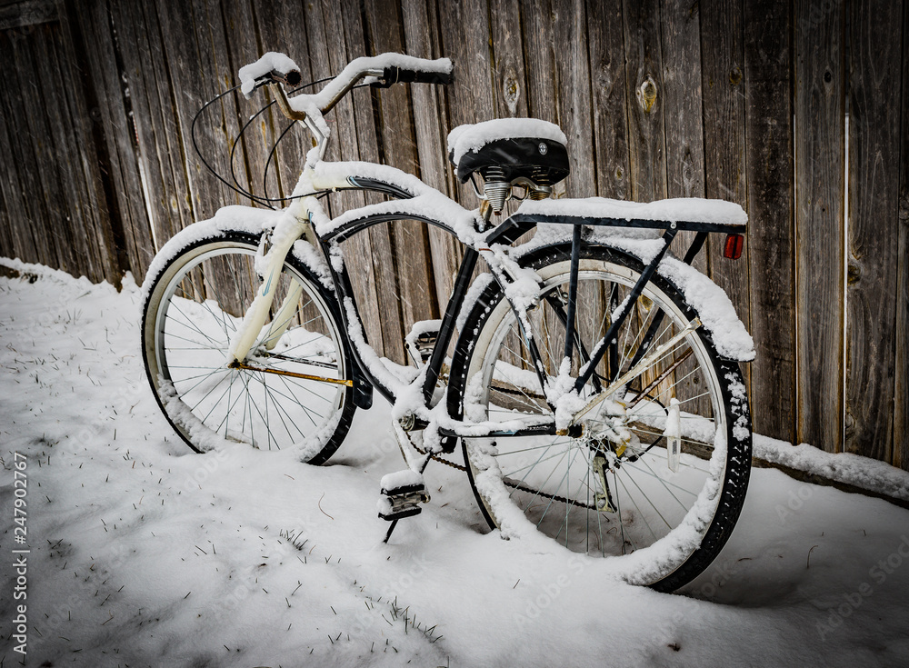 Vintage bicycle on Winter Snow - Color IV
