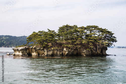 Matsushima islands (view of Japan)