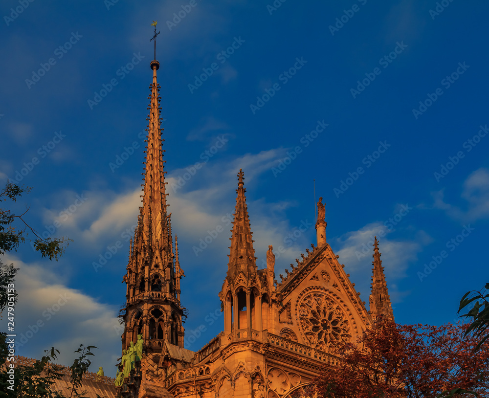 Details of the southern facade of Notre Dame de Paris Cathedral facade with the rose window and ornate spires in the warm light of sunset Details of the southern facade of Notre Dame de Paris Cathedral facade with the rose window and ornate spires in the warm light of sunset