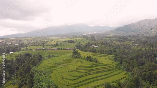 Tracking back from Balinese Rice Stacks to reveal the Misty Mountains and beautiful colours of the paddies, Bali, Indonesia photo