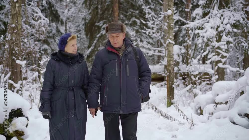 elderly spouses are walking in winter forest, holding hands and talking each other elderly spouses are walking in winter forest, holding hands and talking each other