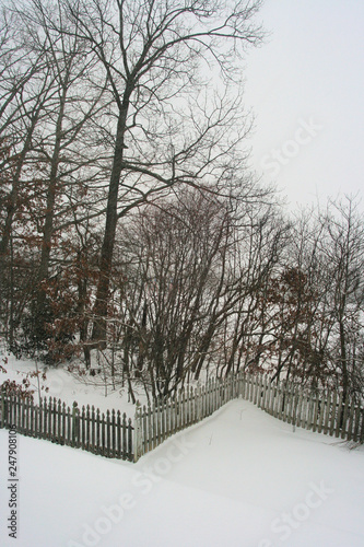 winter in the park