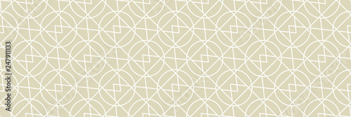 Geometric seamless pattern. White ornament on olive green long background