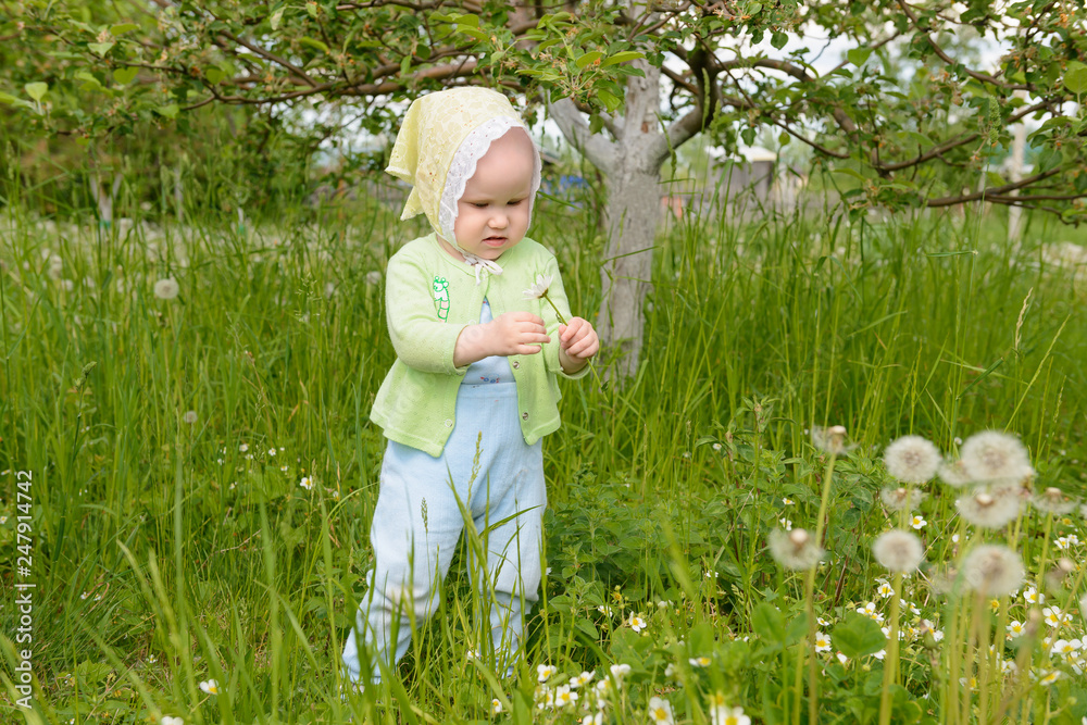 little girl holding a dandelion and considering it in the garden little girl holding a dandelion and considering it in the garden