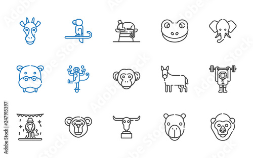 zoo icons set