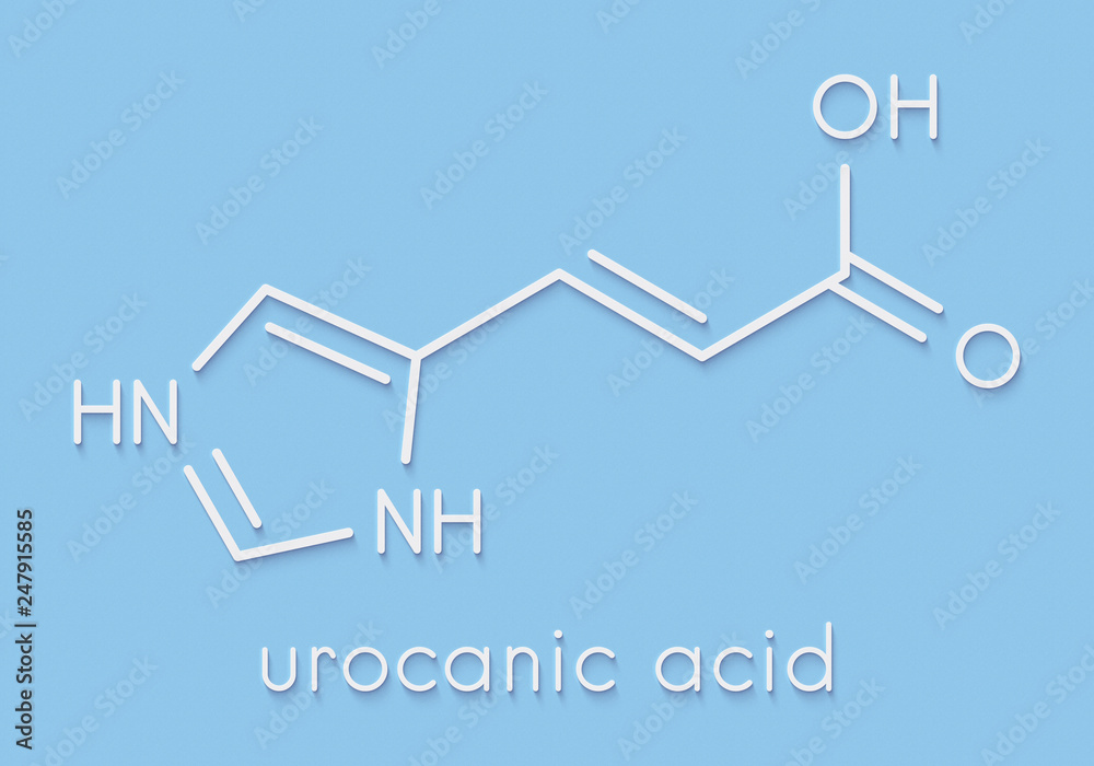 Urocanic acid molecule. Breakdown product of histidine. Skeletal formula.