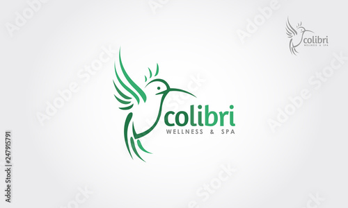Colibri Wellness & Spa Vector Logo Template.  Sketched hummingbird colibri isolated on white background. Logo vector illustration.