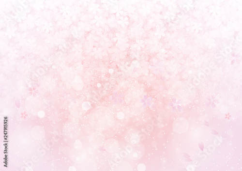 Pink sakura flower, cherry petal pattern wallpaper background