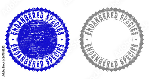Grunge ENDANGERED SPECIES stamp seals isolated on a white background. Rosette seals with distress texture in blue and gray colors.