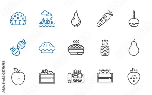 apple icons set