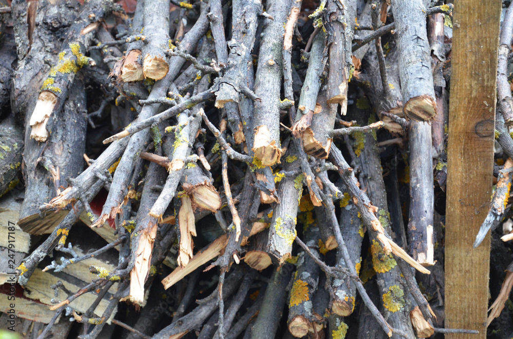 log, chopped firewood with an ax, combined firewood, chopping wood. cutting down of spruce wood log, chopped firewood with an ax, combined firewood, chopping wood. cutting down of spruce wood