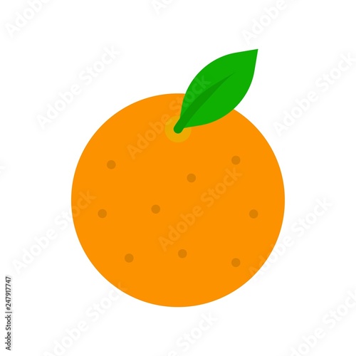 Orange vector, Chinese lunar new year flat style icon