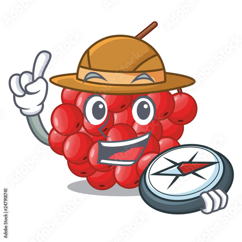 Explorer rowan slices fruit cartoon berries shape
