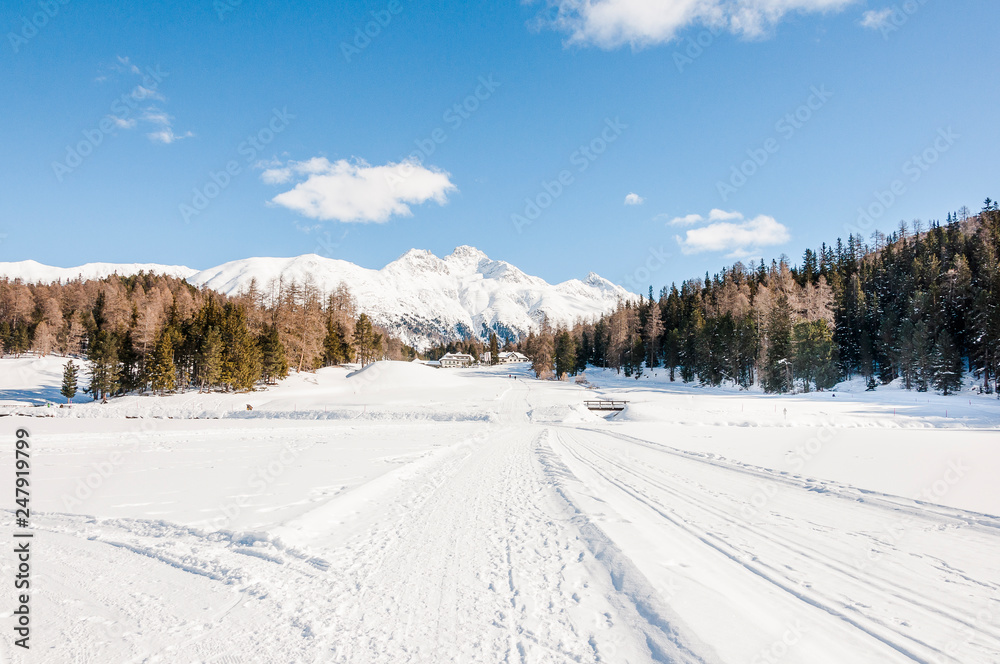 St. Moritz, St. Moritzersee, Stazerwald, Winter, Wintersport, Oberengadin, Alpen, Graubünden, Schweiz