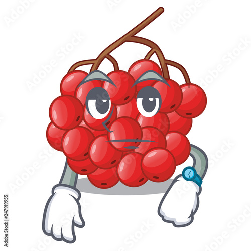 Waiting rowan berries isolated with the mascot