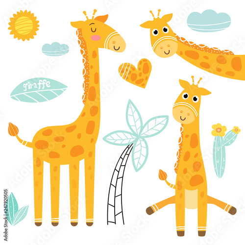 Cartoon giraffe set, vector illustration.