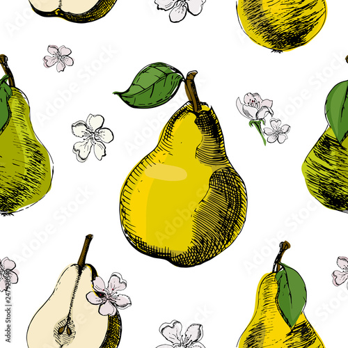 Pear sketch seamless pattern.Vintage ink hand drawn vector of different pears and flowers of pear on white background.Great for fabrics, wallpaper, packaging.