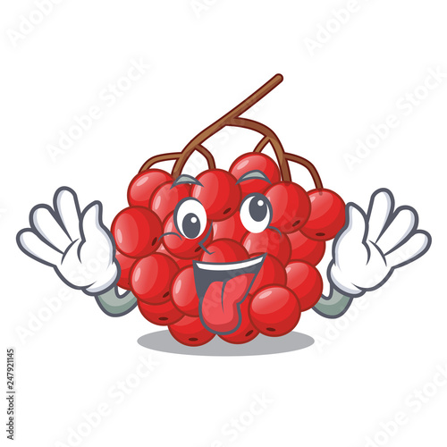 Crazy rowan berries isolated with the mascot