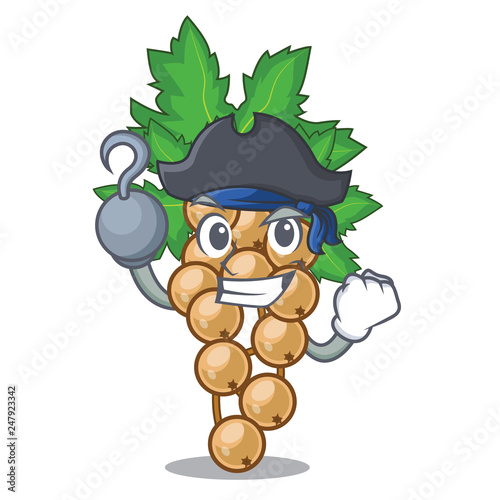 Pirate white currant isolated with the cartoons