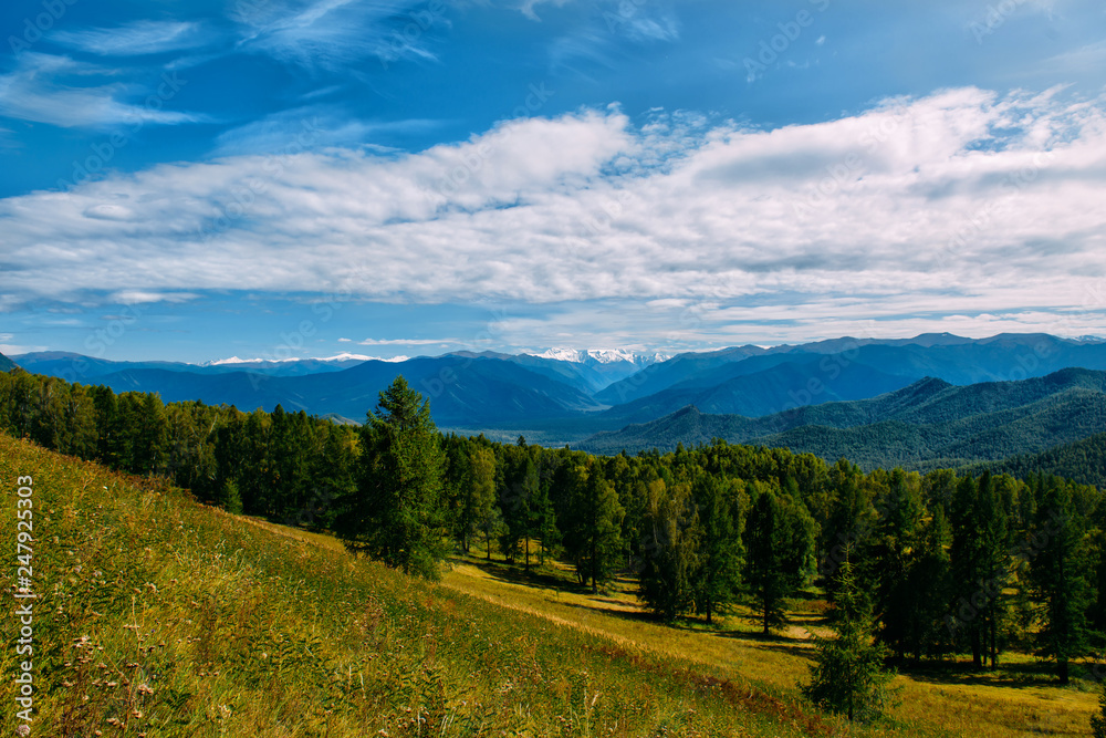 Mountain valley with trees and cloudy sky, golden autumn panorama landscape, Altai Republic