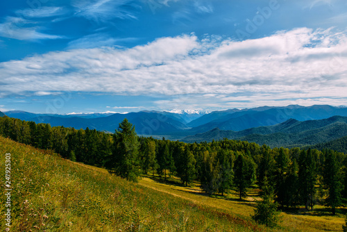 Mountain valley with trees and cloudy sky  golden autumn panorama landscape  Altai Republic