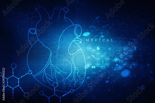 2d illustration Anatomy of Human Heart 