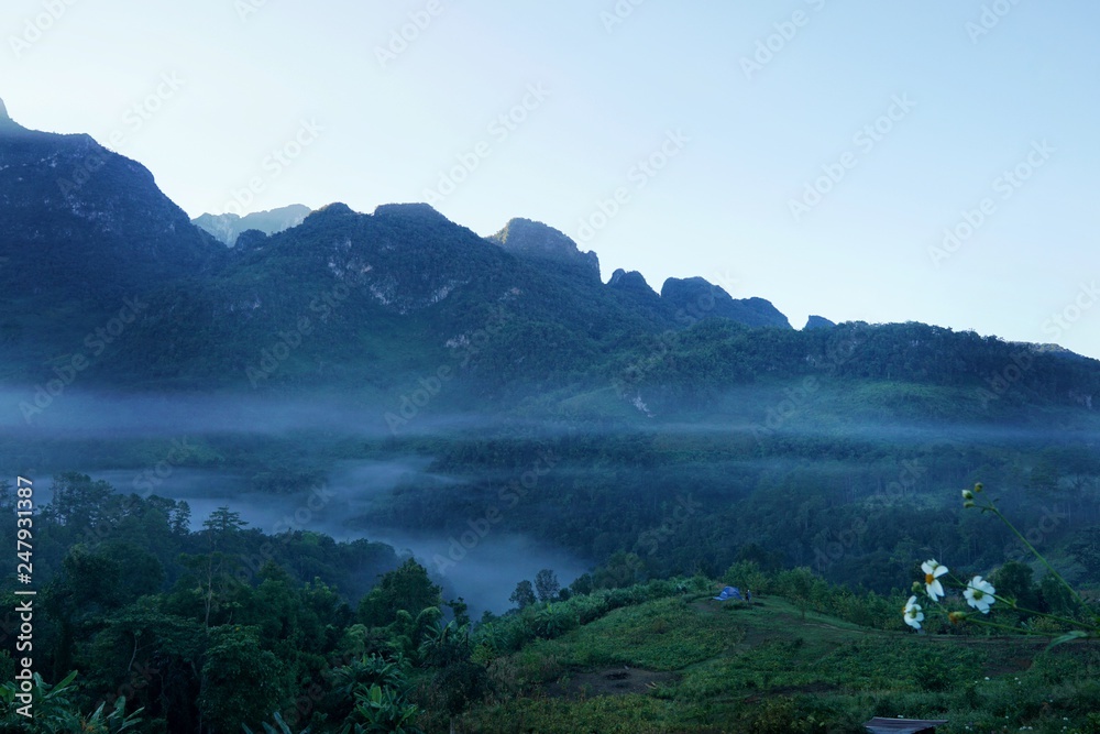 Fog in the morning at Doi Chiang Dao, Thailand, abundance evergreen forest and foggy, Space for text in template, Travel and Ecological concept