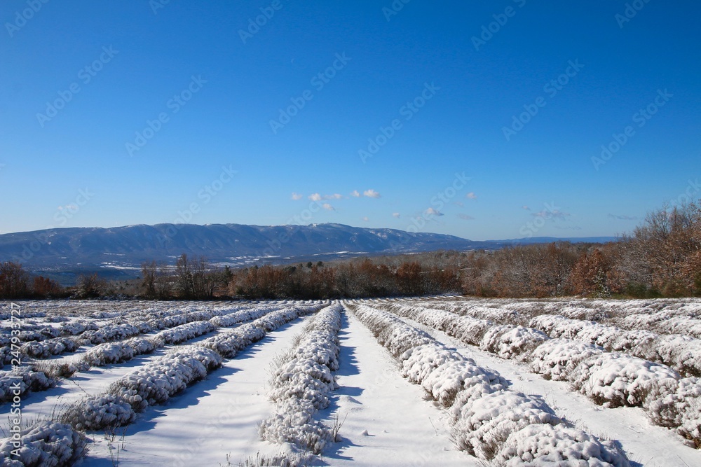 Neige en Provence Neige en Provence