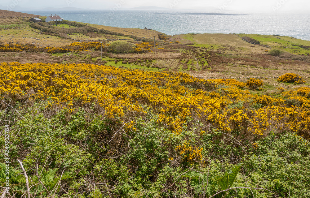 coastal scenery in Ireland coastal scenery in Ireland