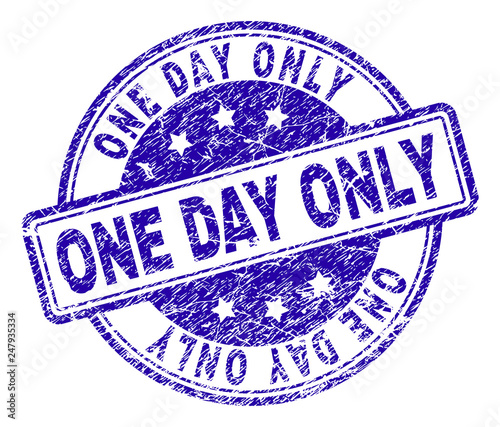 ONE DAY ONLY stamp seal imprint with grunge texture. Designed with rounded rectangles and circles. Blue vector rubber print of ONE DAY ONLY text with grunge texture.