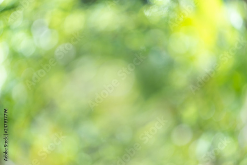 Abstrct defocused colorful green yellow blurred bokeh background