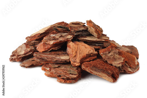 Tree bark pieces isolated on white background.