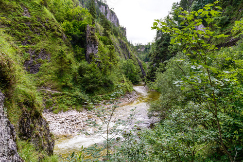 River Grosser Bach, Reichraminger Hintergebirge, Kalkalpen, Upper Austria photo