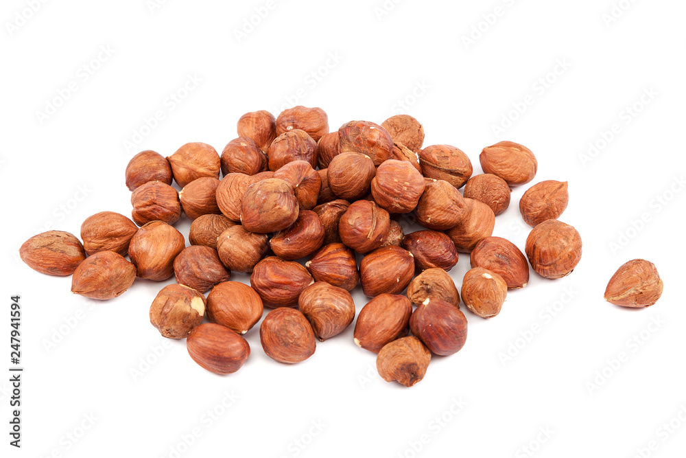 Walnut hazel isolated on a white background Walnut hazel isolated on a white background